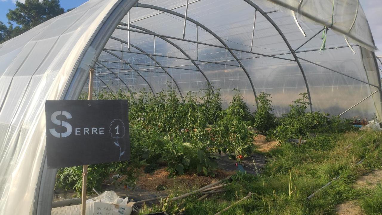 Eco-Gite A La Ferme D'Elles Saint-Andre-de-l'Epine Exteriér fotografie